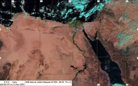 الأرصاد تتوقع تكاثر السحب وهطول أمطار محتملة في القاهرة الكبرى والسواحل الشمالية