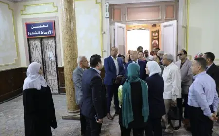 محافظ القاهرة يتابع استعدادات لجان الانتخابات لمجلس النواب 2025