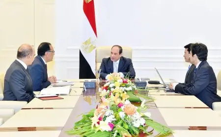 تعرف على تفاصيل الاجتماع بين الرئيس السيسي ووزير الرياضة وأبرز التوجيهات المهمة