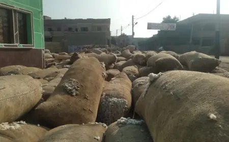 اكتشاف مخزن ضخم لتخزين وبيع القطن دون ترخيص في الشرقية