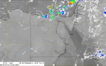 تحذير من الأرصاد: موجة أمطار غزيرة تصل لحد السيول تضرب الوجه البحري قريباً