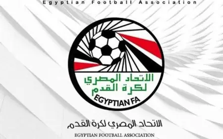 الاتحاد المصري يستبعد 4 مدربين وإداريين بعد حادثة الاعتداء على الحكم