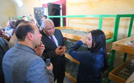 مايا مرسي تستكشف وحدة إنتاج الحرير في جولة ميدانية بمحافظة الوادي الجديد