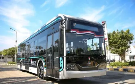 النصر للسيارات تسجل صافي أرباح 35 مليون جنيه في العام المالي 2024-2025