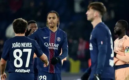 موعد مواجهة باريس سان جيرمان أمام توتنهام في دوري أبطال أوروبا