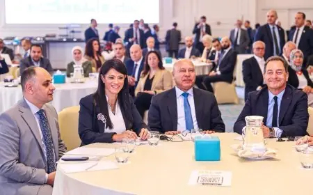 برنامج الصناعات الخضراء يعزز التنمية الاقتصادية بدور محوري للتعاون الدولي يؤكده المشاط