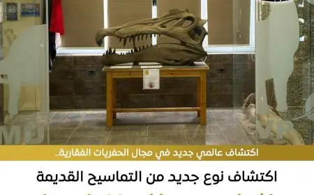 كشف مثير لنوع تمساح قديم عاش بمصر قبل 80 مليون سنة