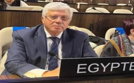 4 جامعات مصرية تتصدر قائمة أفضل 100 جامعة في العالم