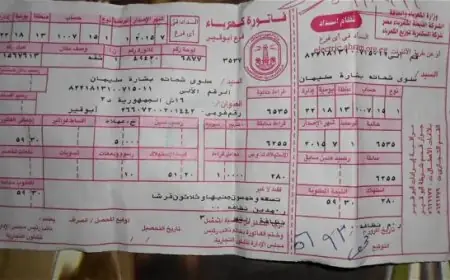 تعرف على خطوات شحن كارت الكهرباء لعام 2025 من منزلك بكل سهولة