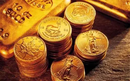 تعرف على سعر الجنيه الذهب في مصر اليوم الاثنين 24 نوفمبر 2025