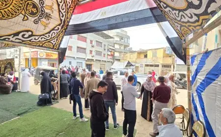 الكثافة الانتخابية تتزايد في القاهرة وإجراءات مشددة لضمان الشفافية الانتخابية