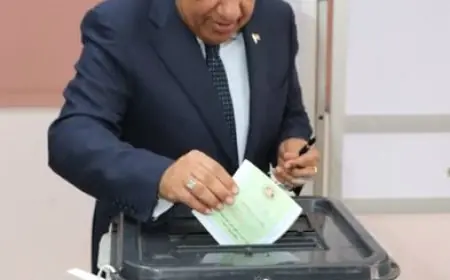 وزير الكهرباء يشارك في التصويت بانتخابات مجلس النواب 2025