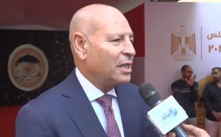 محافظ القاهرة يحث الناخبين على المشاركة الفعّالة في الانتخابات ويؤكد انتظام العملية الانتخابية