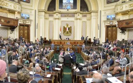 ماذا يحمل البرلمان الجديد؟ تشريعات قانونية ورقابة فعّالة تنتظركم