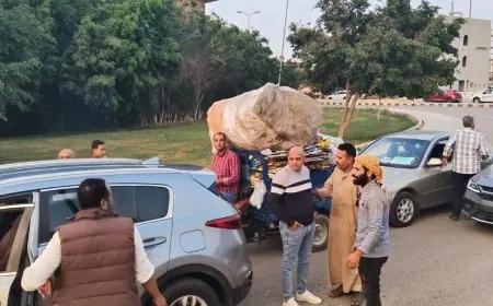 حملة الشروق تنجح في ضبط 10 نابشين ومصادرة تروسيكل من قبل جهاز المدينة