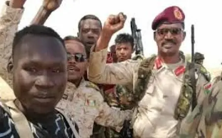 قوات الدعم السريع تعلن عن هدنة إنسانية لمدة 3 أشهر في السودان من طرف واحد