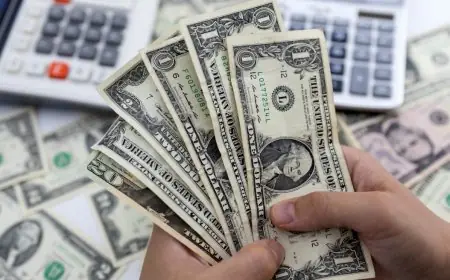 انخفاض سعر الدولار مقابل الجنيه المصري في البنوك اليوم الثلاثاء