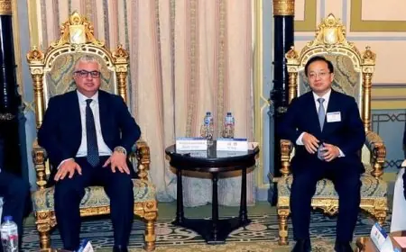 جذبت منطقة قناة السويس الاقتصادية استثمارات بقيمة 11.6 مليار دولار في 3 أعوام ونصف نصفها من الصين