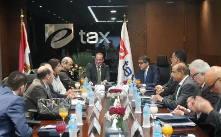 وزير المالية يكشف عن خطة لجذب ممولين جدد بتحسين منظومة الضرائب لجعلها أكثر سهولة وعدالة
