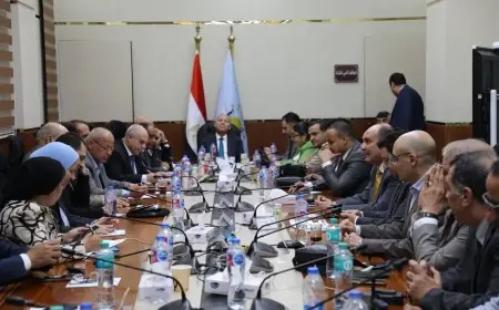 إغلاق لجان الانتخاب في القاهرة وبدء فرز الأصوات: محافظ العاصمة يعلن التفاصيل