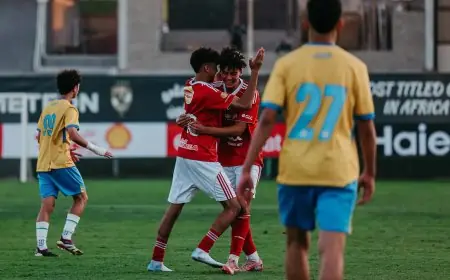 انتصار أهلي 2009 على الإسماعيلي بثنائية في بطولة الجمهورية