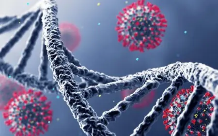 متحدث الصحة يؤكد: لا متحورات جديدة والإنفلونزا الأكثر انتشارًا بالمعدلات الطبيعية