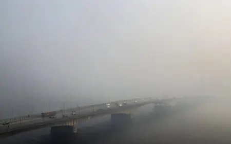 شبورة كثيفة وأمطار خفيفة توضح الطقس غير المستقر يوم الجمعة المقبل