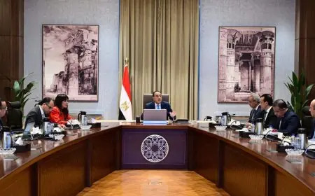 رئيس الوزراء يشرف على مبادرات التطوير والتشجير في القاهرة الكبرى