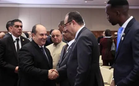 مصر والجزائر تعززان التعاون في الصناعات الدوائية والتصنيع المحلي لتحقيق شراكات استراتيجية