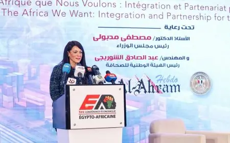 المشاط يؤكد توجيهات رئيس الجمهورية لتعزيز التكامل والتعاون مع دول أفريقيا