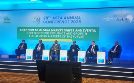 البورصة المصرية تبرز في جلسة حوارية مميزة بمؤتمر اتحاد البورصات الإفريقية السنوي