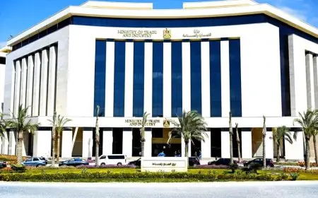 وزارة الصناعة تخطو خطوة كبيرة لدعم المشروعات المتعثرة بحزم مهلة وتسهيلات جديدة حتى أبريل 2026