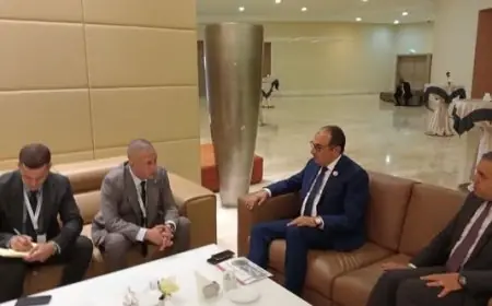 وزير قطاع الأعمال يعزز التعاون في صناعة المركبات مع الجزائر