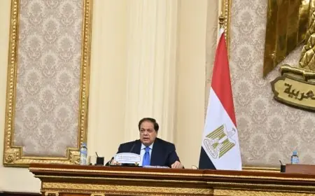 محمد أبو العينين يكشف عن جهود مصر المستمرة لتحقيق شراكة أورومتوسطية فعالة