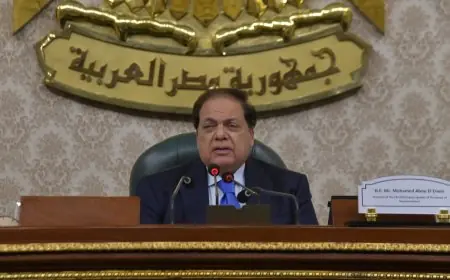 أبو العينين يبرز دور مصر كشريك أساسي في تشكيل مستقبل المنطقة الأورومتوسطية