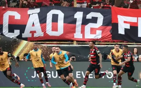 دانيلو يقود فلامنغو للفوز بكأس ليبرتادوريس في مواجهة نهائية برازيلية