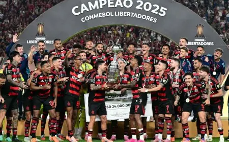 فلامنجو يفاجئ بالميراس بهدف قاتل ويتوج بلقب ليبرتادوريس للمرة الرابعة