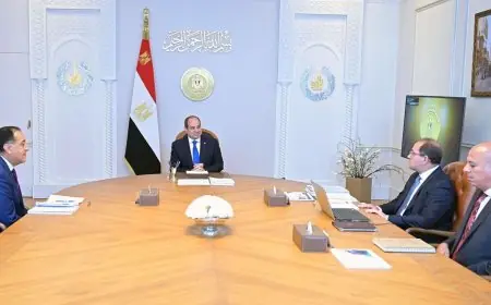 اجتماع هام للرئيس السيسي مع رئيس الوزراء ووزير المالية لبحث القضايا الاقتصادية