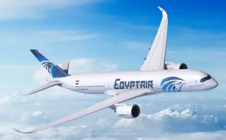 شركة إيرباص العالمية تُثمّن جهود مصر للطيران في تحديث طائرات A320 وتنسيقها الفعال