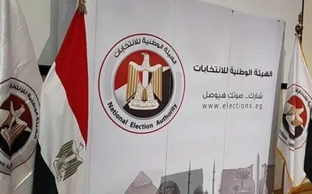 الهيئة الوطنية تلتزم بتطبيق قرار الإدارية العليا النافذ وفقًا لفقيه دستوري