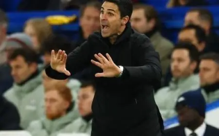 مديرية الطب البيطري بالقليوبية تحبط محاولة بيع نصف طن من اللحوم والكبدة الفاسدة في شبرا الخيمة