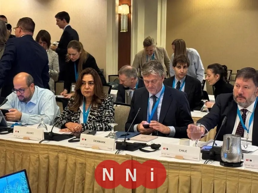 التنمية المحلية تكشف عن تقدم مصر في تحقيق أهداف المناخ