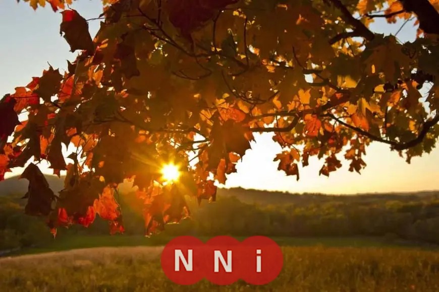 الأرصاد تكشف عن تقلبات جوية حادة في الخريف تجمع بين الأمطار والحرارة العالية