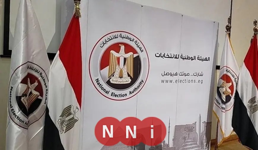 المصريون بالخارج يشاركون بقوة في انتخابات مجلس النواب 2025