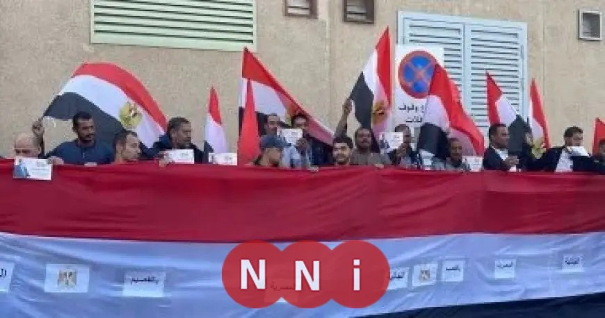 انتخابات المصريين بالخارج: نموذج مشرف للعالم في البرلمان