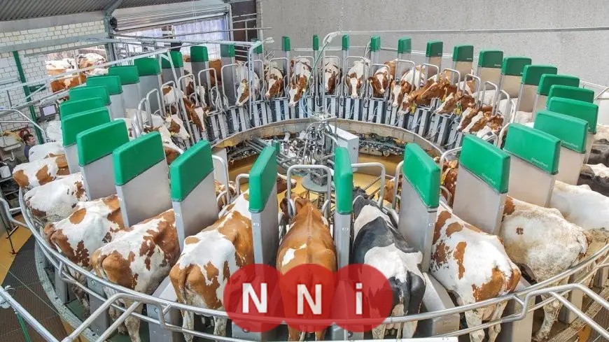 الزراعة تمنح 774 ترخيصًا لتشغيل مشروعات الإنتاج الحيواني والداجني في مختلف الأنشطة