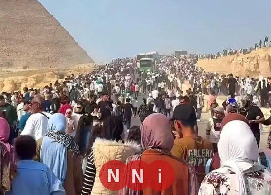 ازدهار غير مسبوق للسياحة في مصر: إقبال هائل على الأهرامات والمتحف المصري الكبير