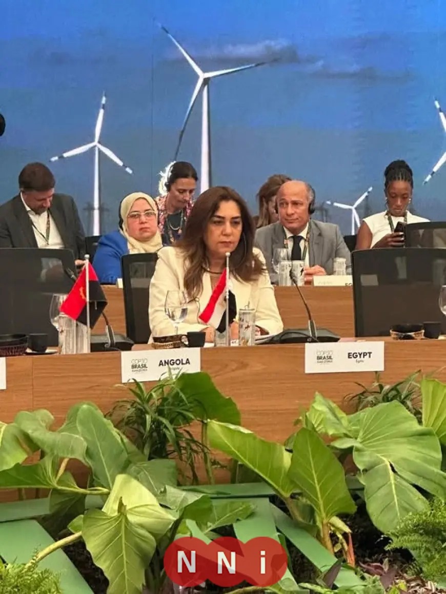 وزيرة التنمية المحلية تشارك في قمة المناخ برئاسة الرئيس البرازيلي لتعزيز الجهود البيئية