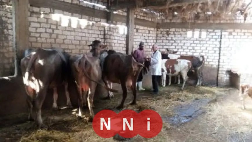 وزير الصحة يقود خطوات إنشاء قاعدة بيانات وطنية لترشيحات الدراسات العليا في المجال الطبي