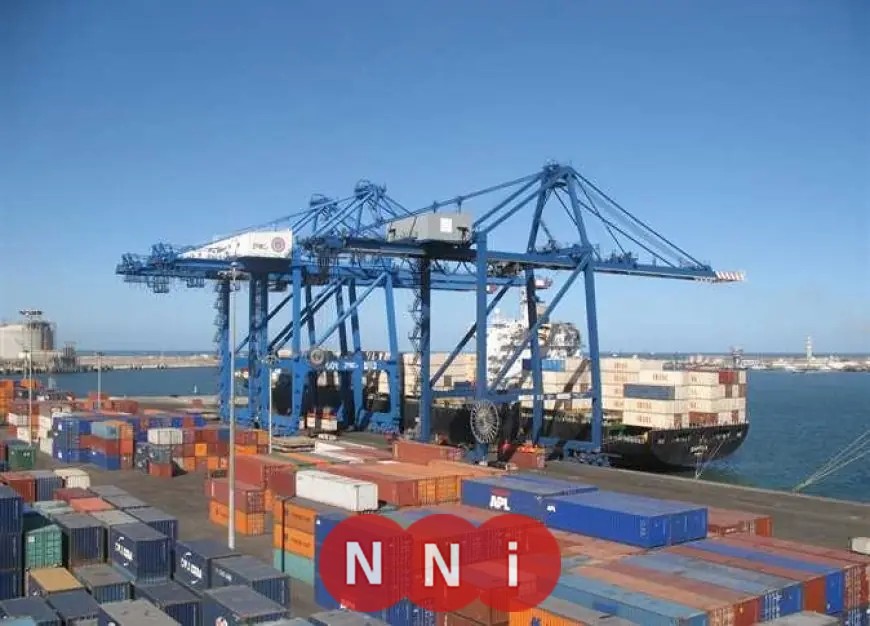 ميناء دمياط يستقبل 29 سفينة في يوم واحد